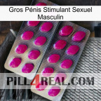 Gros Pénis Stimulant Sexuel Masculin 10